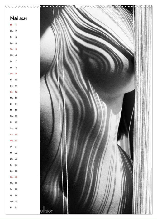 Nude abstract (CALVENDO wall calendar 2024) 