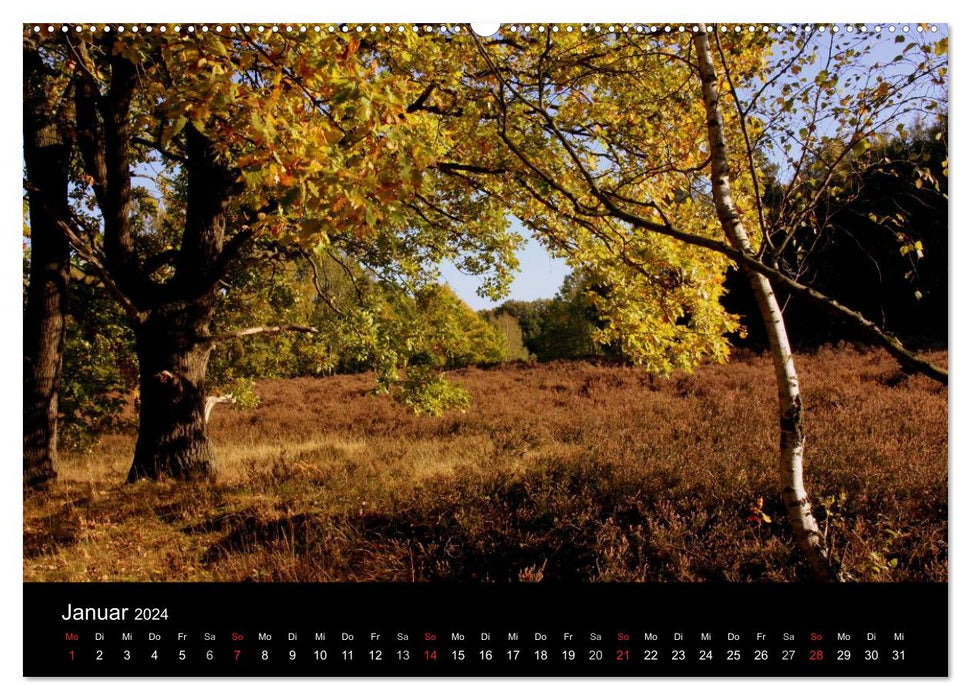 Indian Summer - The colors of autumn (CALVENDO wall calendar 2024) 