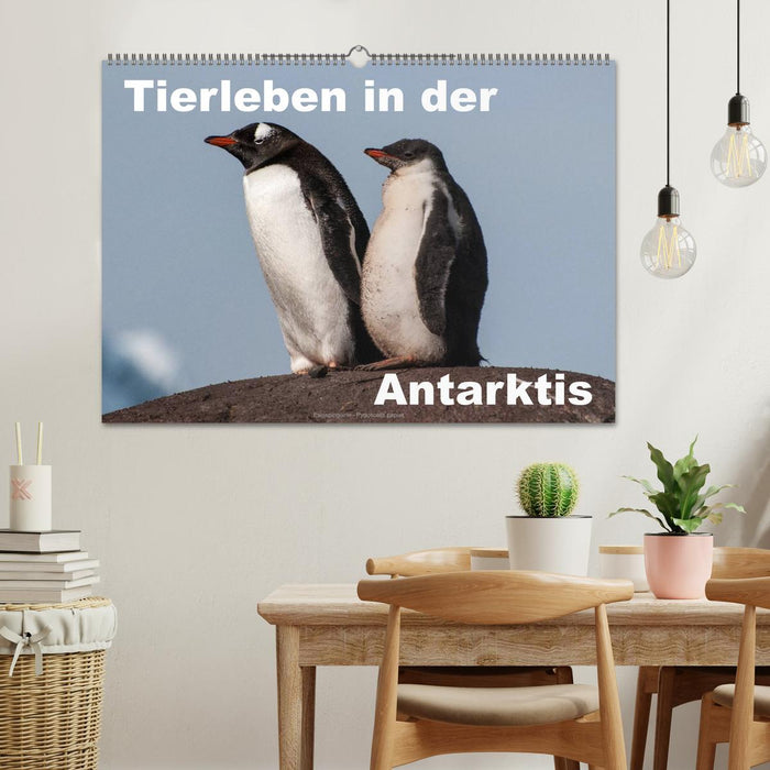 La vie animale en Antarctique (Calendrier mural CALVENDO 2024)