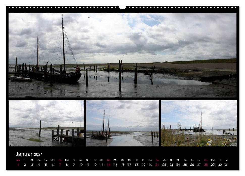 Texel, une perle de la Frise (Calendrier mural CALVENDO 2024) 