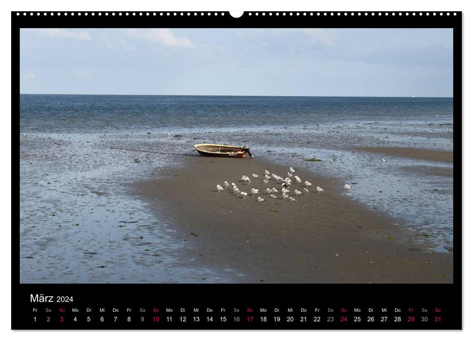 Texel, eine Perle Frieslands (CALVENDO Wandkalender 2024)