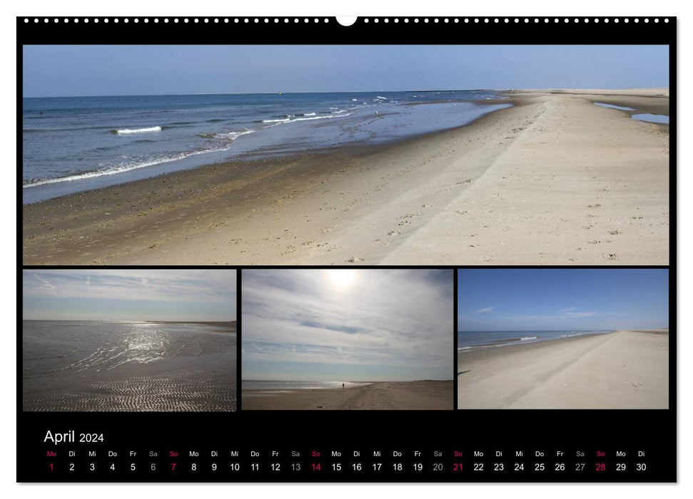 Texel, eine Perle Frieslands (CALVENDO Wandkalender 2024)