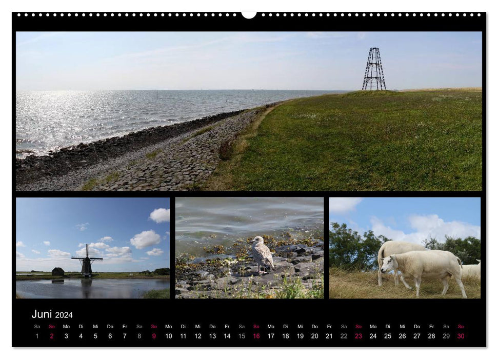 Texel, une perle de la Frise (Calendrier mural CALVENDO 2024) 