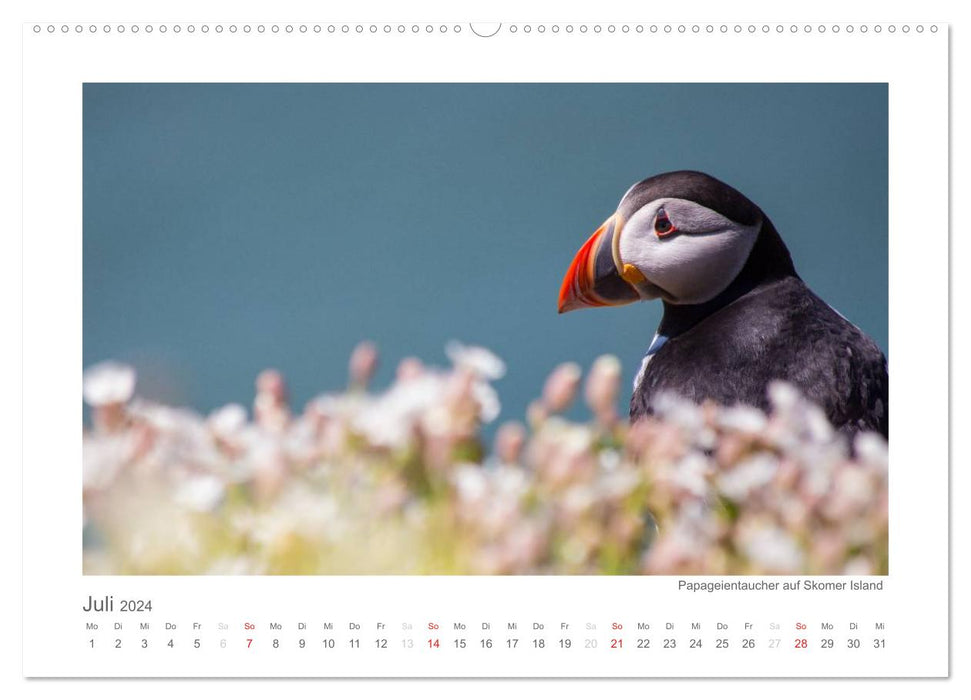 Wales / AT version (CALVENDO wall calendar 2024) 