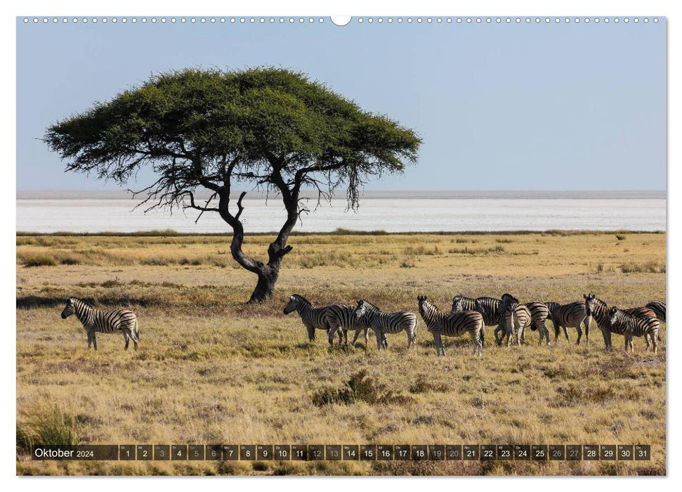 Wild Namibia (CALVENDO wall calendar 2024) 