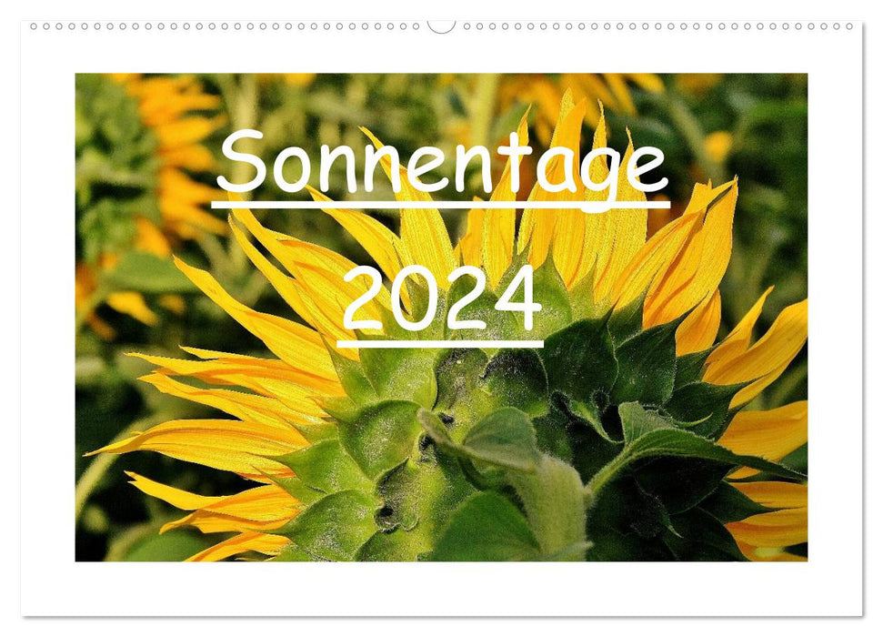 Sunny days 2024 (CALVENDO wall calendar 2024) 