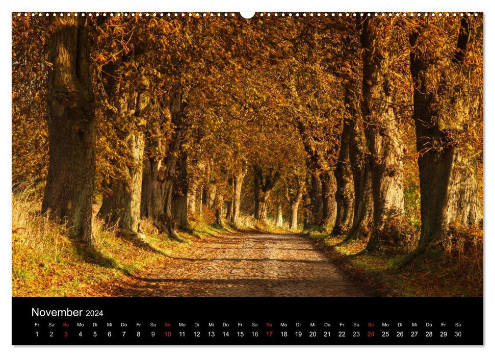 Impressions de l'île de Rügen dans la mer Baltique (calendrier mural CALVENDO 2024) 