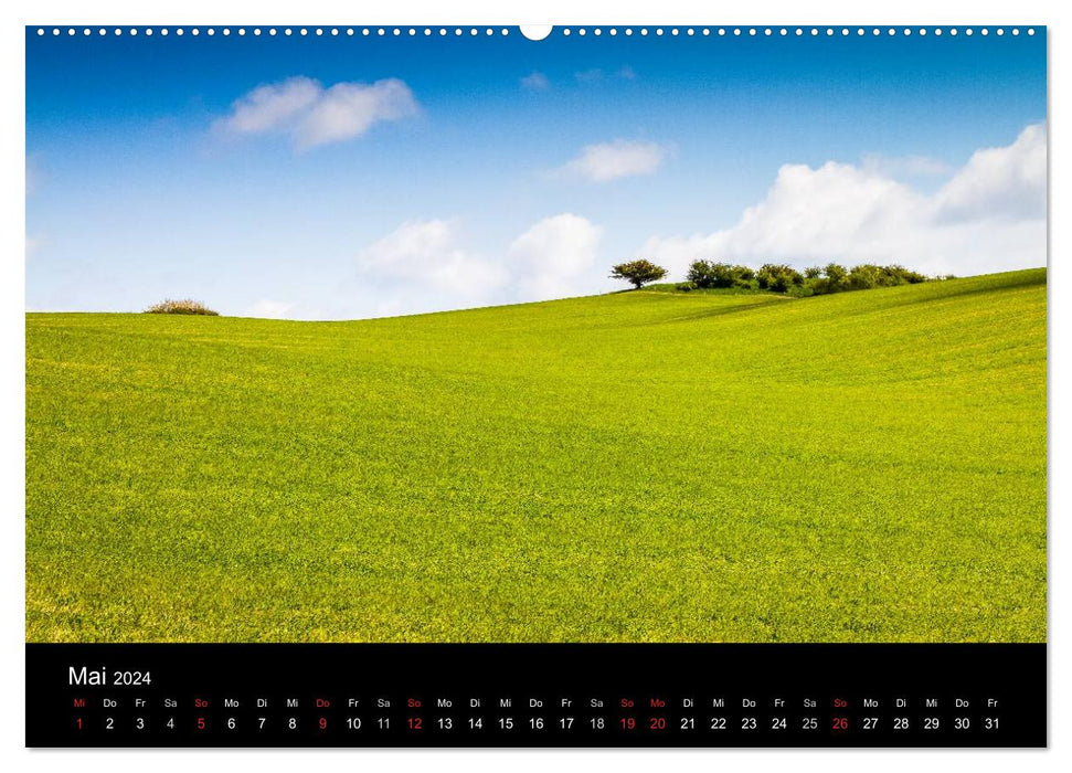 Impressions de l'île de Rügen dans la mer Baltique (calendrier mural CALVENDO 2024) 