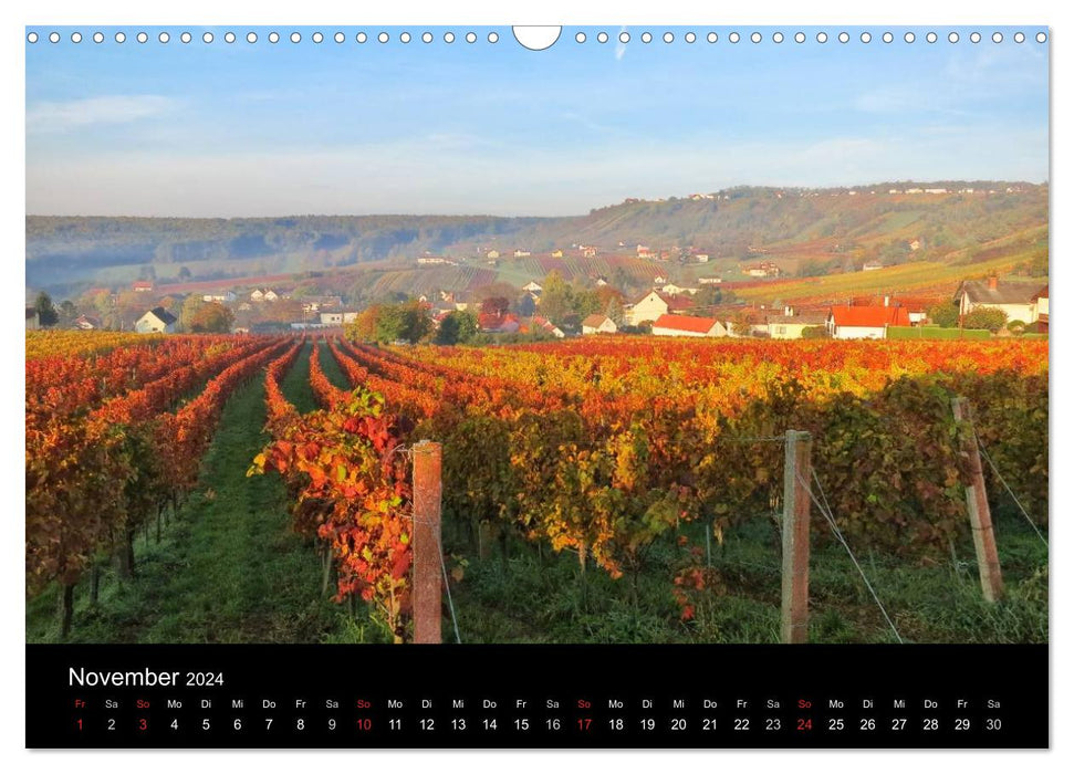 Wine idyll in southern Burgenland (CALVENDO wall calendar 2024) 