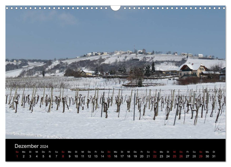 Wine idyll in southern Burgenland (CALVENDO wall calendar 2024) 