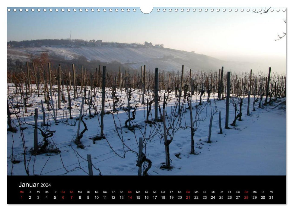 Wine idyll in southern Burgenland (CALVENDO wall calendar 2024) 