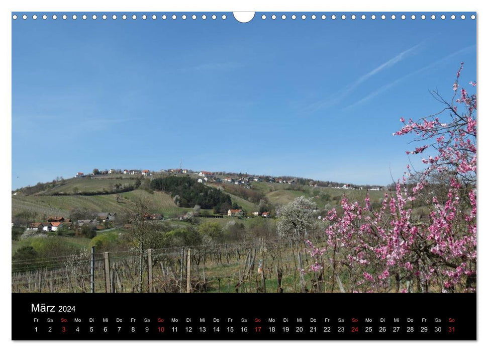 Wine idyll in southern Burgenland (CALVENDO wall calendar 2024) 