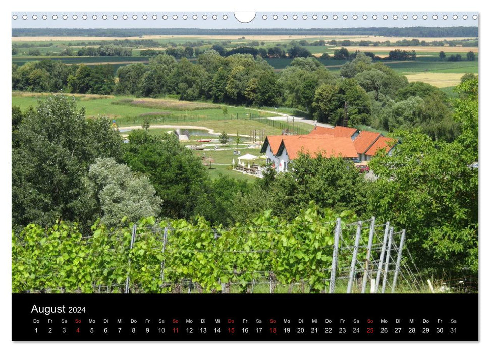 Wine idyll in southern Burgenland (CALVENDO wall calendar 2024) 