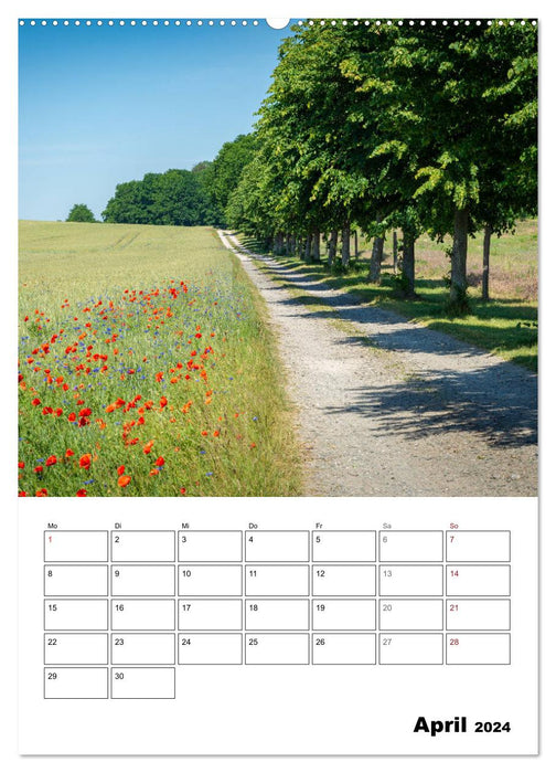 Usedom - island dream in the north (CALVENDO wall calendar 2024) 