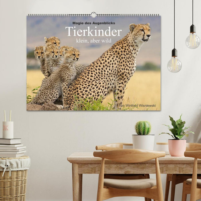 Magie des Augenblicks - Tierkinder - klein, aber wild (CALVENDO Wandkalender 2024)