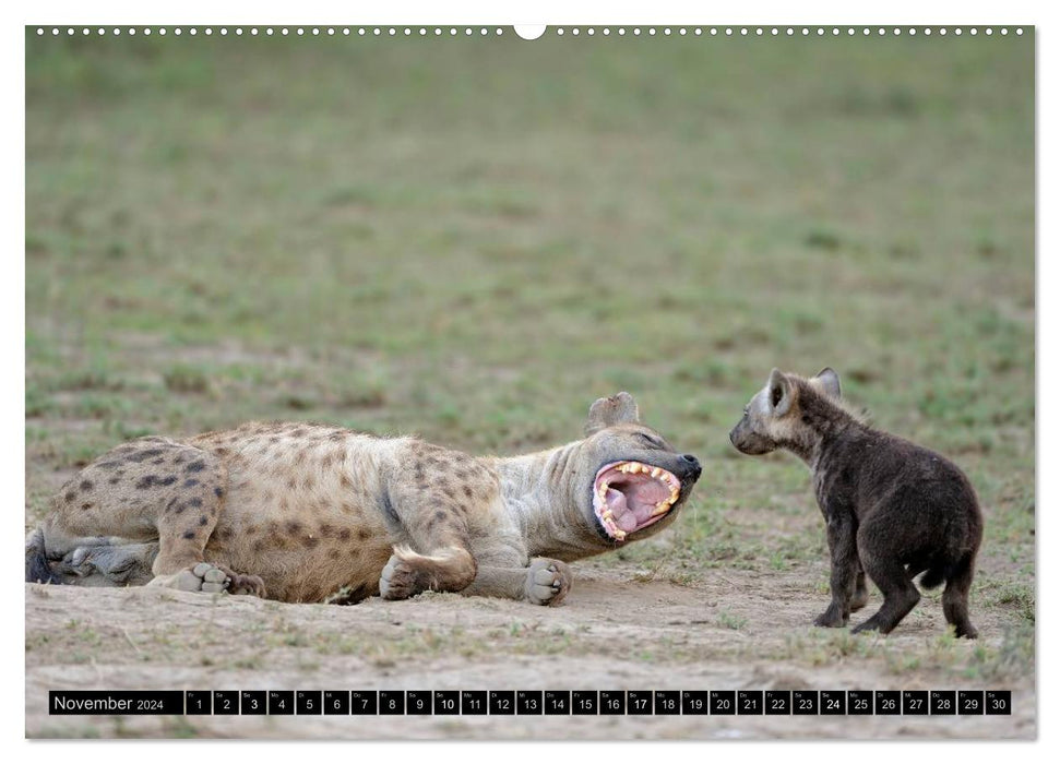 Magic of the moment - animal children - small but wild (CALVENDO wall calendar 2024) 