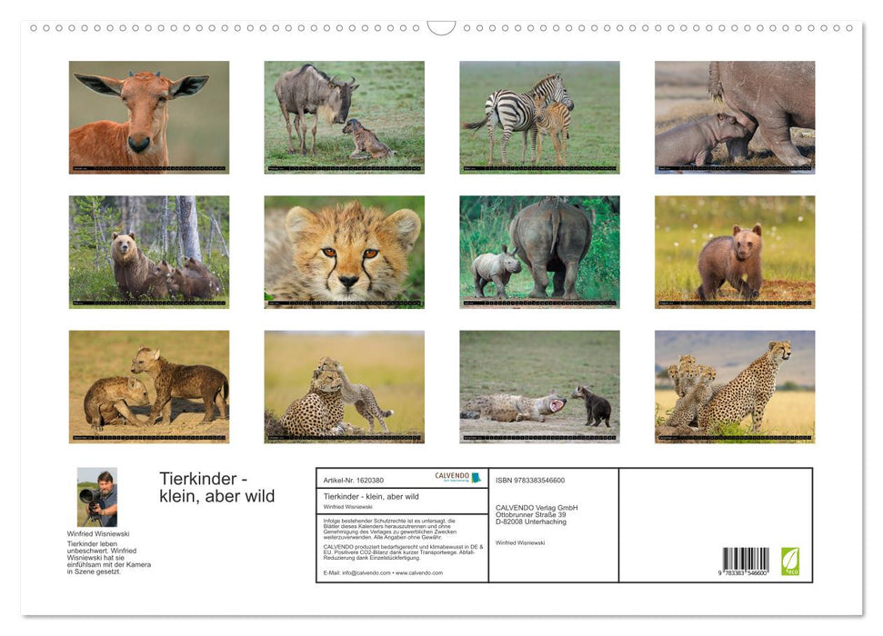 Magic of the moment - animal children - small but wild (CALVENDO wall calendar 2024) 