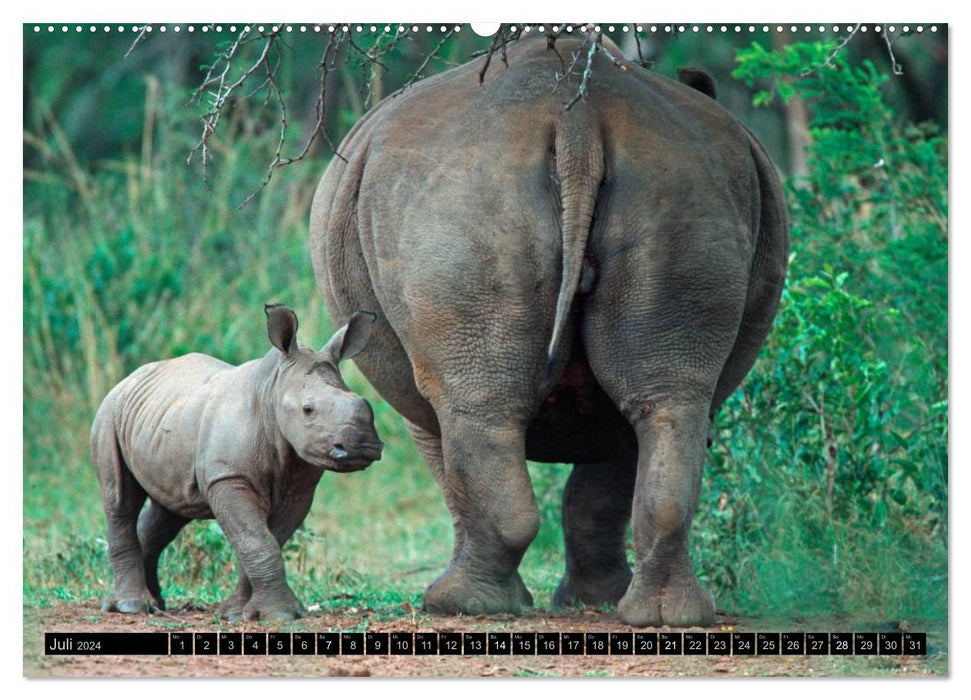 Magic of the moment - animal children - small but wild (CALVENDO wall calendar 2024) 