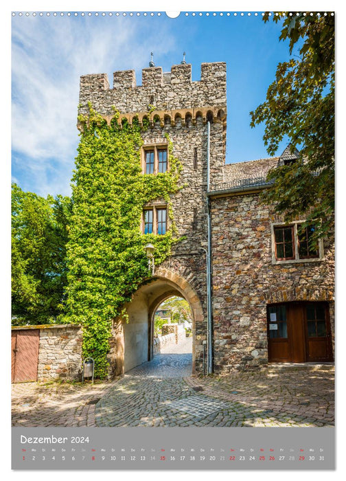 Châteaux du Rhin moyen I (Calendrier mural CALVENDO 2024) 