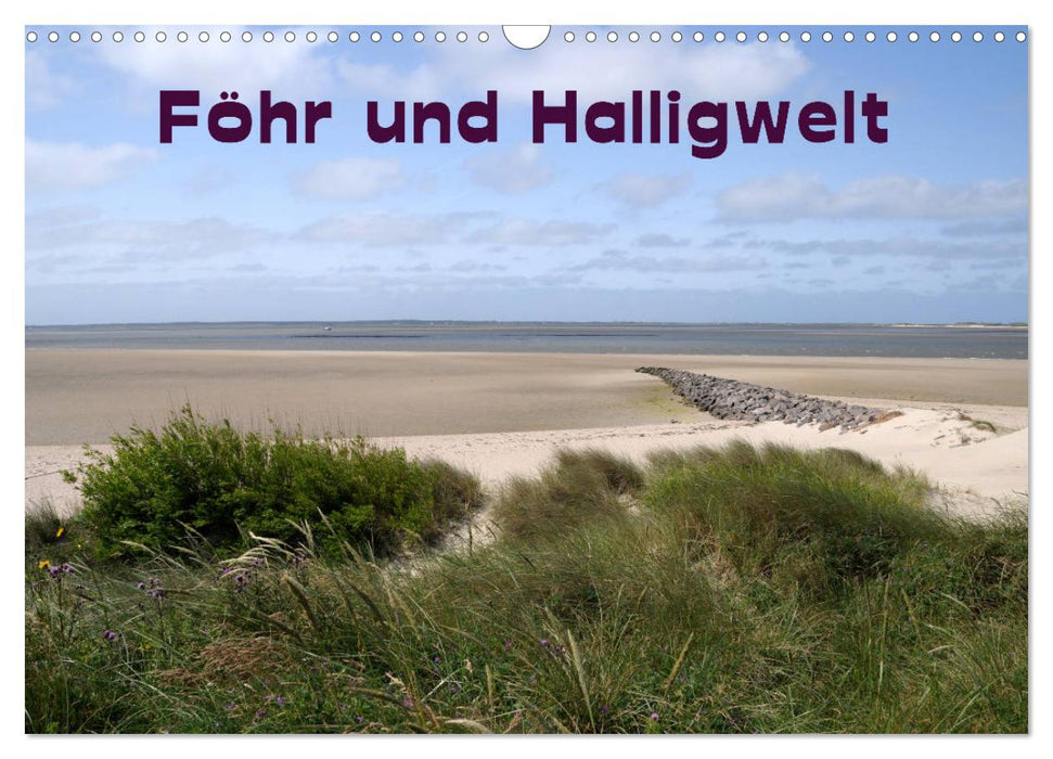 Föhr und Halligwelt 2024 (CALVENDO Wandkalender 2024)
