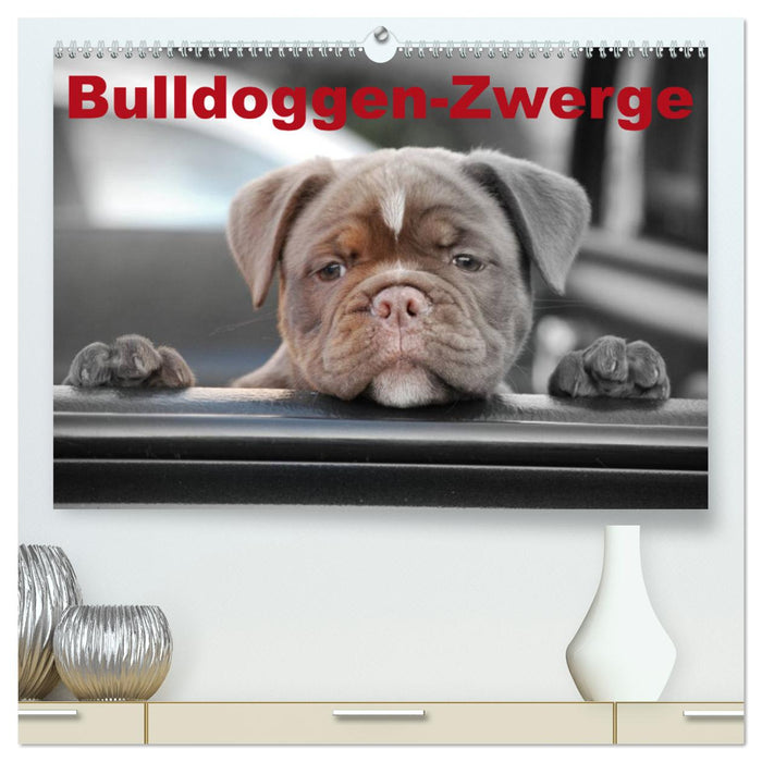 Bulldoggen-Zwerge (CALVENDO Premium Wandkalender 2024)