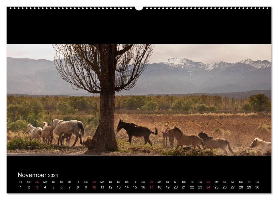 Patagonia - Untamed Land (CALVENDO Wall Calendar 2024) 