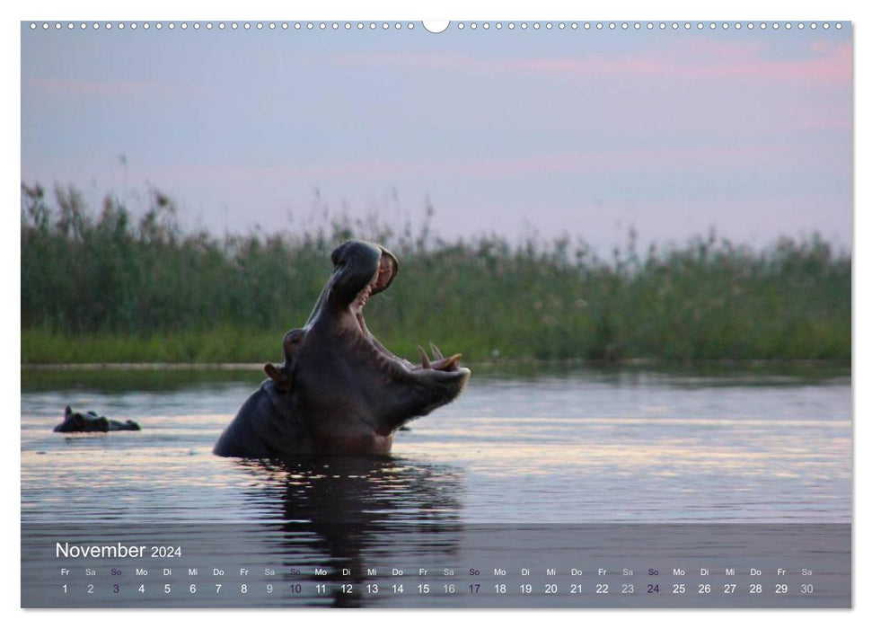 Botswana Wildlife (CALVENDO Wall Calendar 2024) 