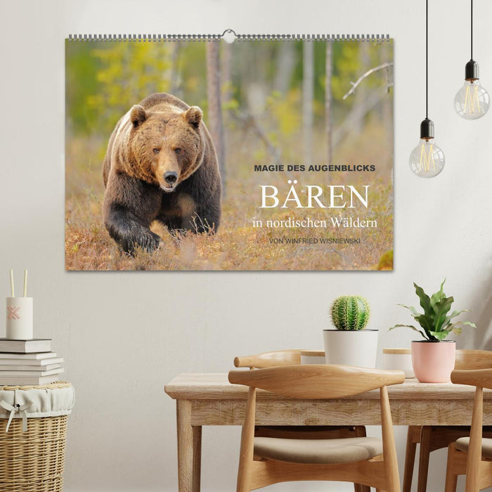 Magic of the moment - bears in Nordic forests (CALVENDO wall calendar 2024) 