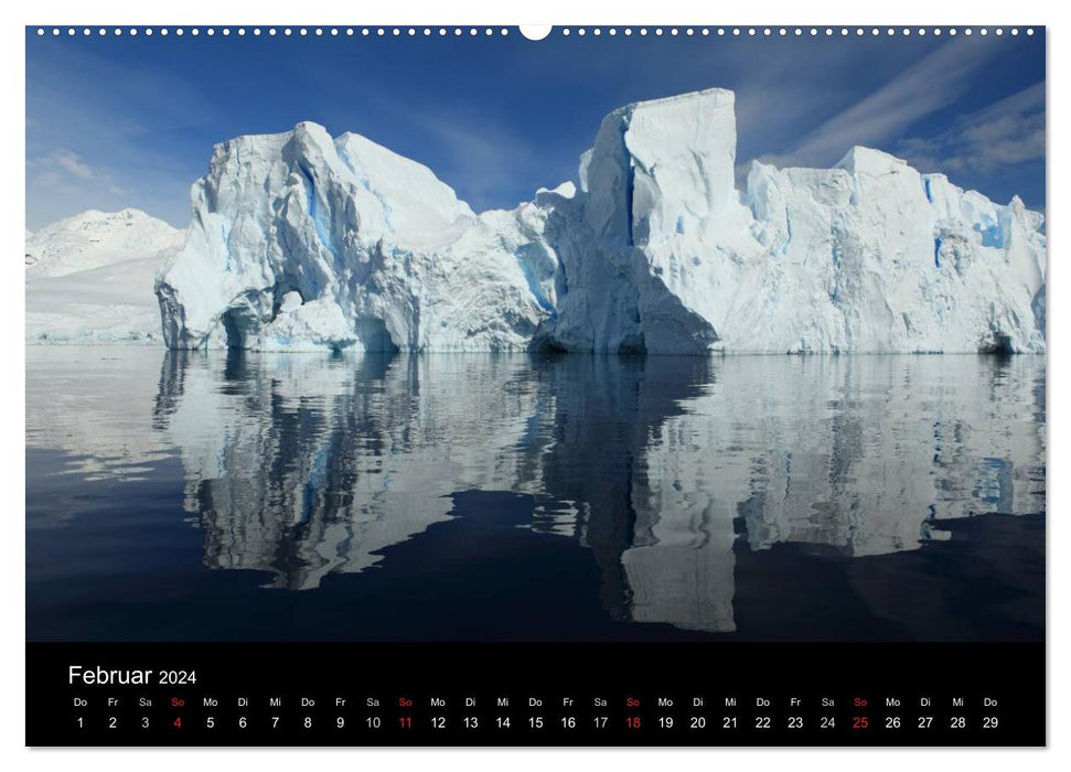 The Antarctic / CH version (CALVENDO Premium Wall Calendar 2024) 