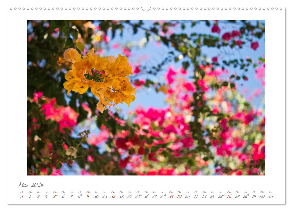 Gran Canaria - Puerto Mogan/Maspalomas (CALVENDO Premium Wall Calendar 2024) 