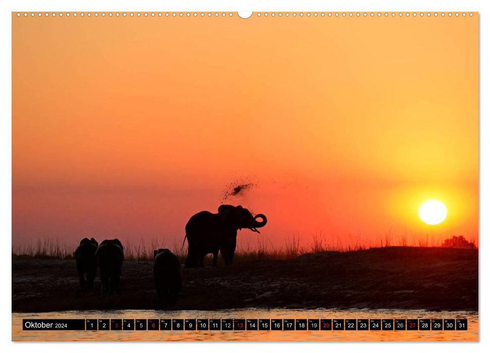 Magie des Augenblicks - Elefanten - Afrikas sanfte Riesen (CALVENDO Wandkalender 2024)