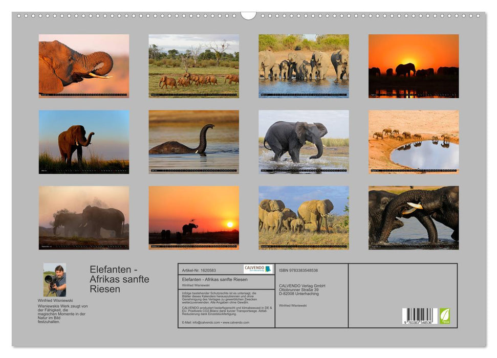 Magie du moment - Éléphants - Gentils géants d'Afrique (Calendrier mural CALVENDO 2024) 