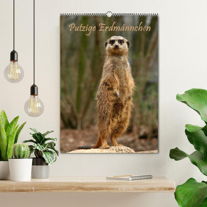 Suricate / planificateur de rendez-vous (calendrier mural CALVENDO 2024) 