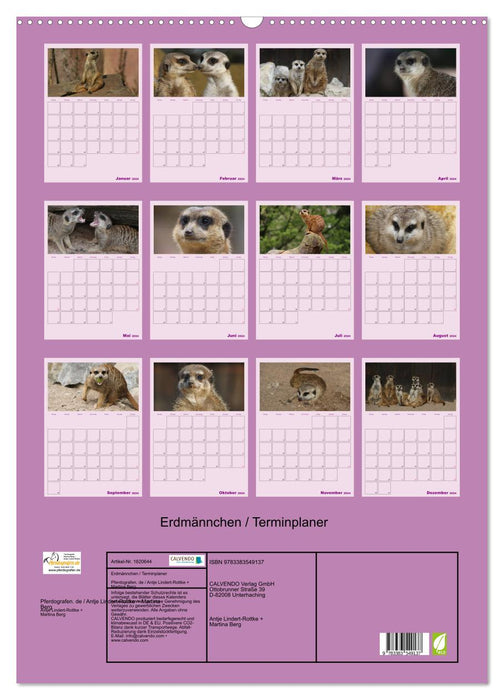 Erdmännchen / Terminplaner (CALVENDO Wandkalender 2024)