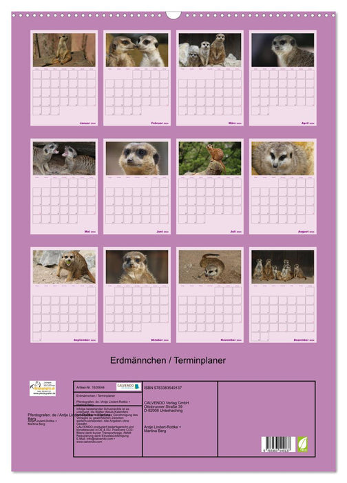 Suricate / planificateur de rendez-vous (calendrier mural CALVENDO 2024) 