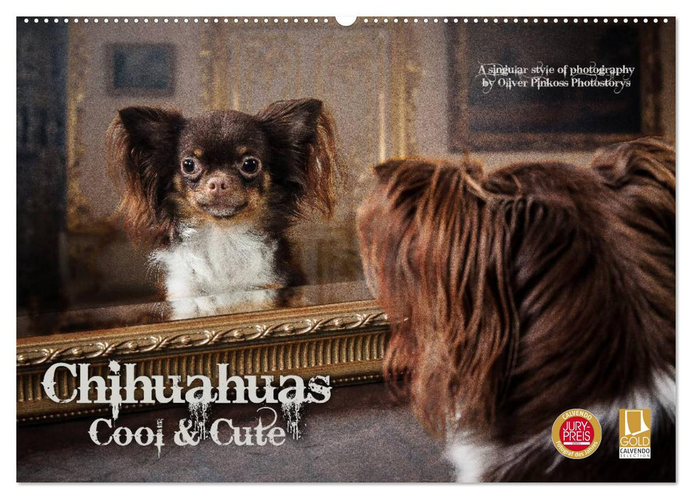 Chihuahuas - Cool and Cute (Calendrier mural CALVENDO 2024) 