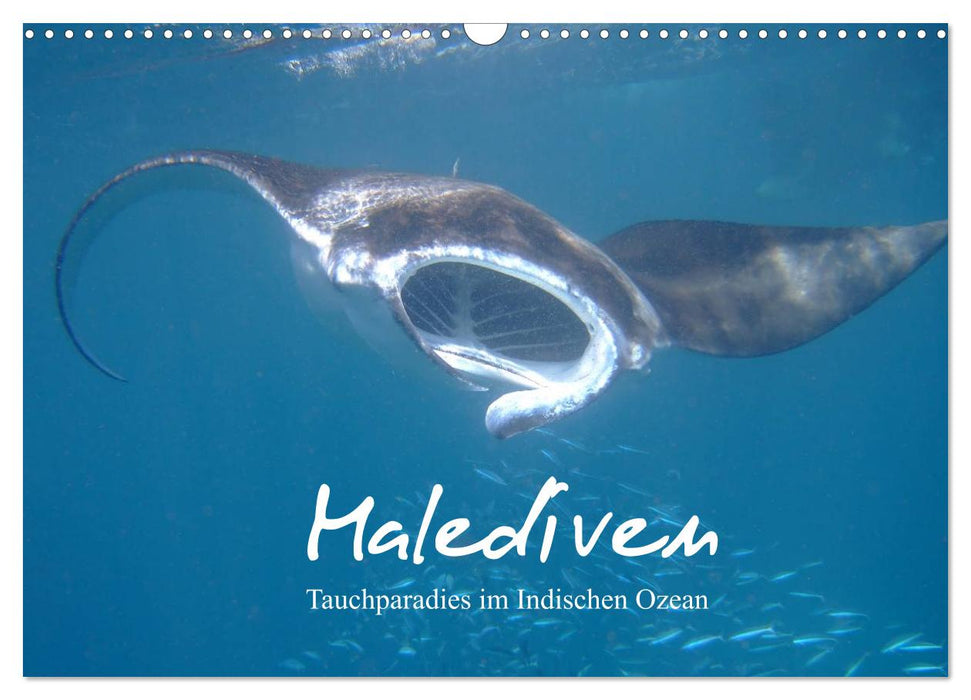 Malediven - Tauchparadies im Indischen Ozean (CALVENDO Wandkalender 2024)
