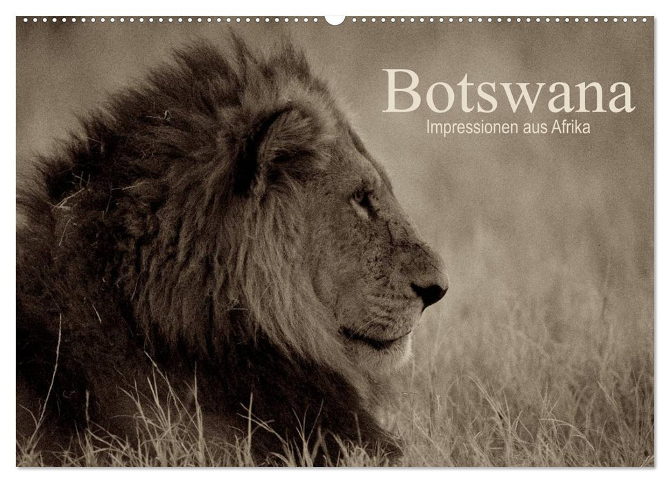 Botswana – Impressions d’Afrique (Calendrier mural CALVENDO 2024) 