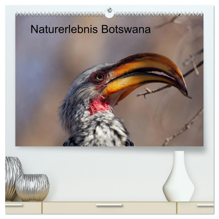 Naturerlebnis Botswana (CALVENDO Premium Wandkalender 2024)