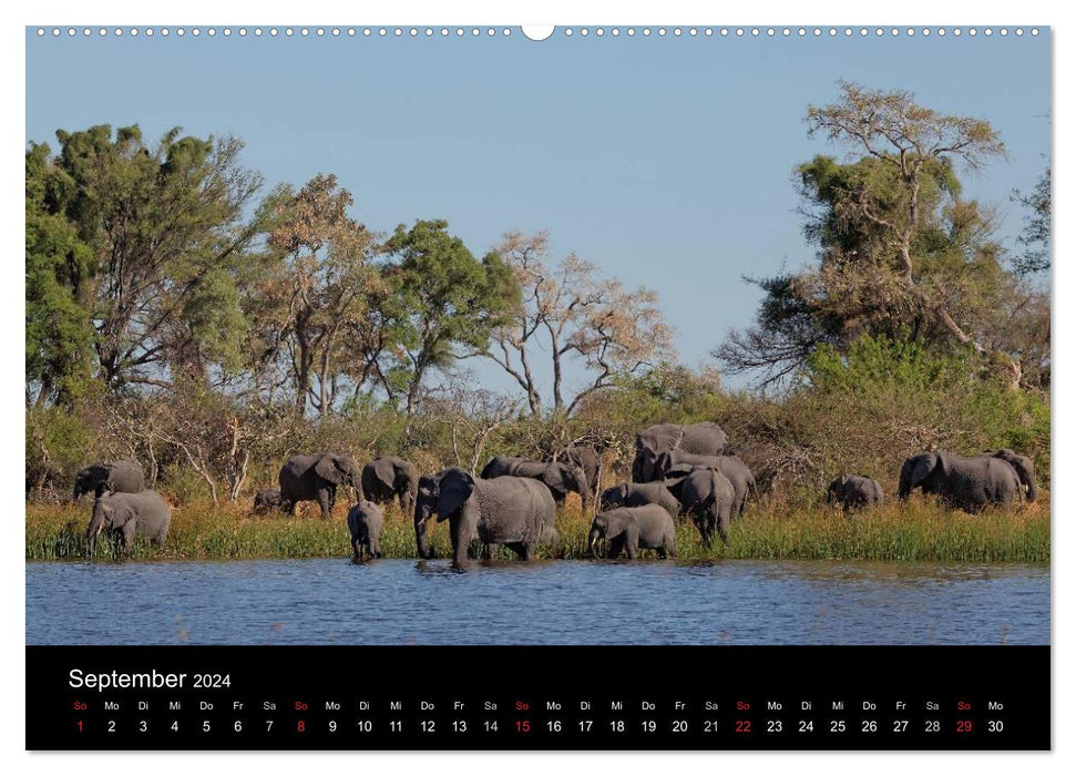 Naturerlebnis Botswana (CALVENDO Premium Wandkalender 2024)