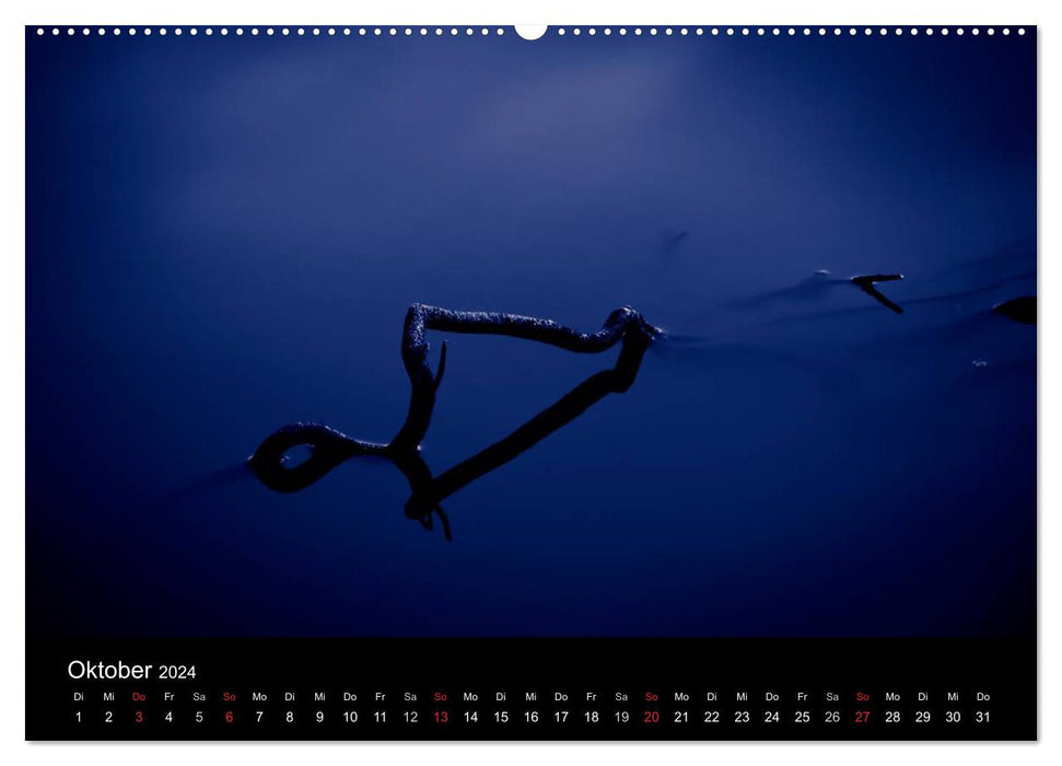 Water (CALVENDO Premium Wall Calendar 2024) 