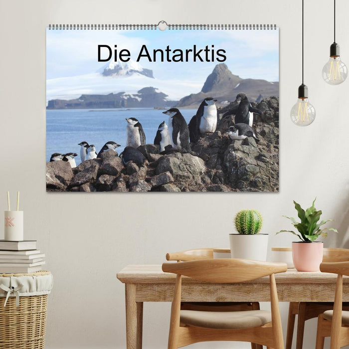 La version Antarctique / CH (calendrier mural CALVENDO 2024)
