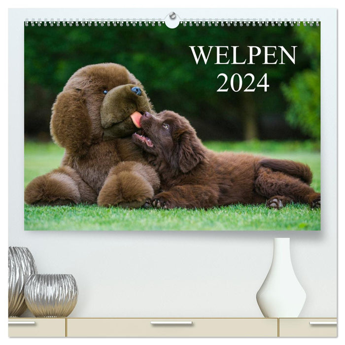 Welpen 2024 (CALVENDO Premium Wandkalender 2024)