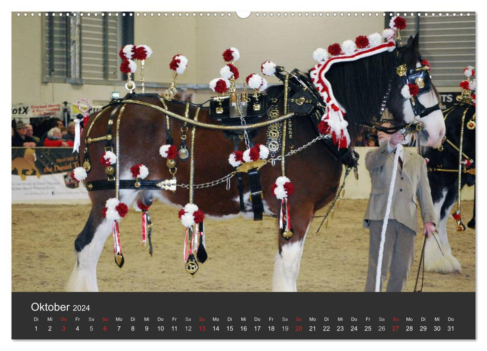 Shire Horse • Magnifiques géants (calendrier mural CALVENDO 2024) 