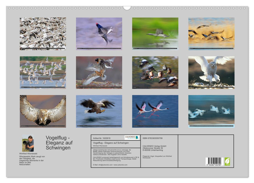 Magic of the moment - bird flight - elegance on wings (CALVENDO wall calendar 2024) 