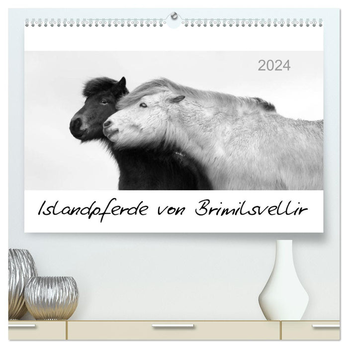 Icelandic horses from Brimilsvellir (CALVENDO Premium Wall Calendar 2024) 