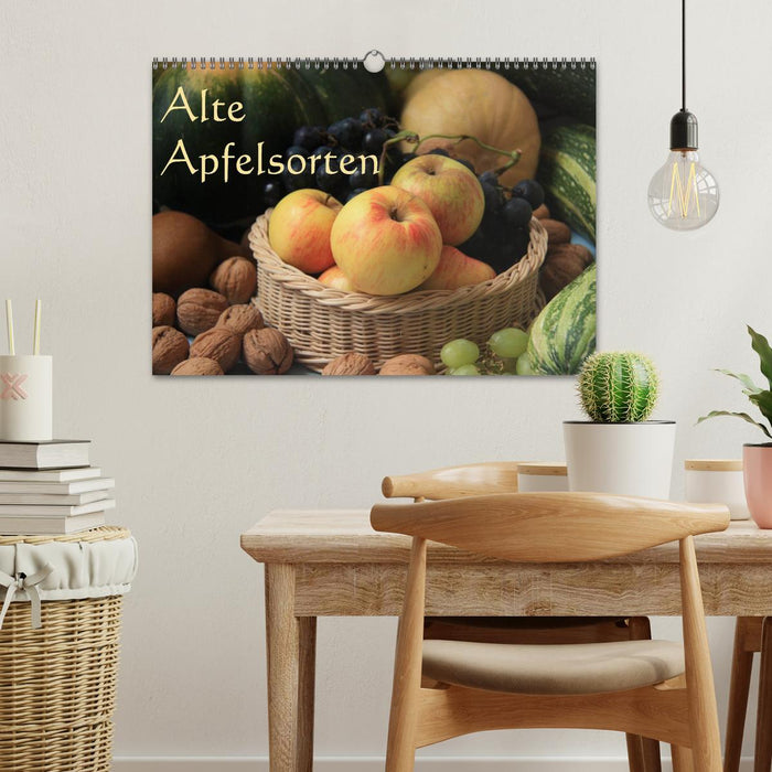 Old apple varieties (CALVENDO wall calendar 2024) 