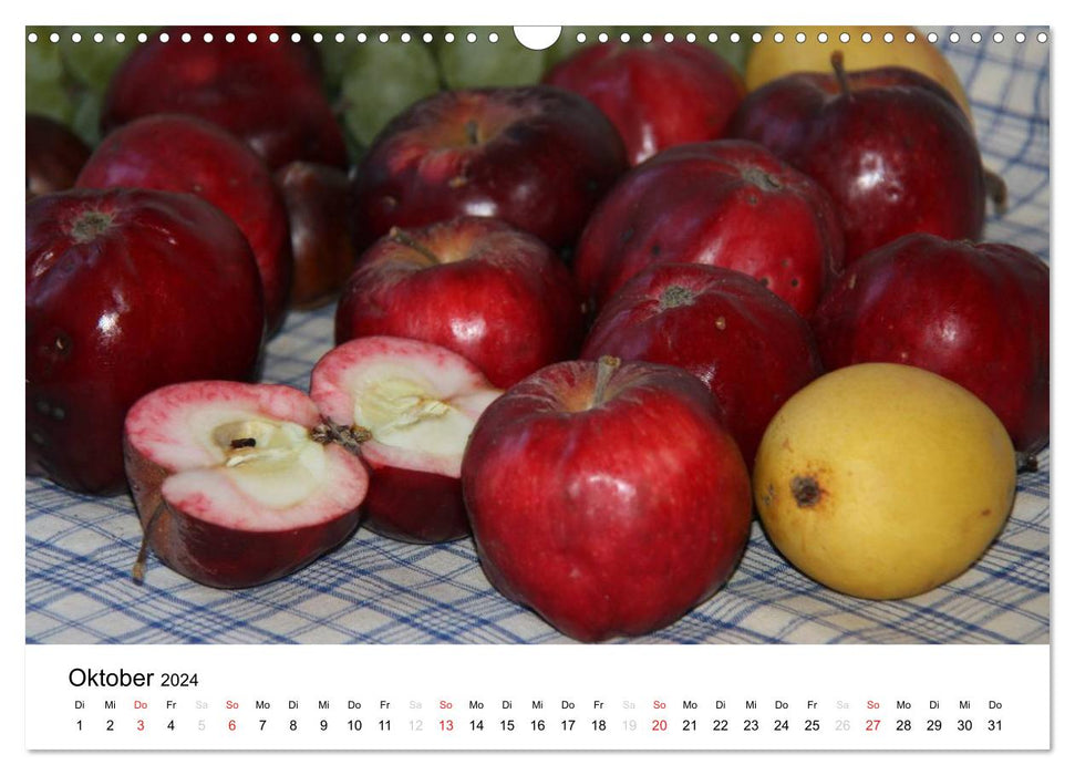Anciennes variétés de pommes (Calendrier mural CALVENDO 2024) 