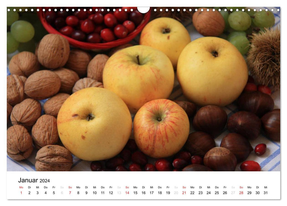 Anciennes variétés de pommes (Calendrier mural CALVENDO 2024) 