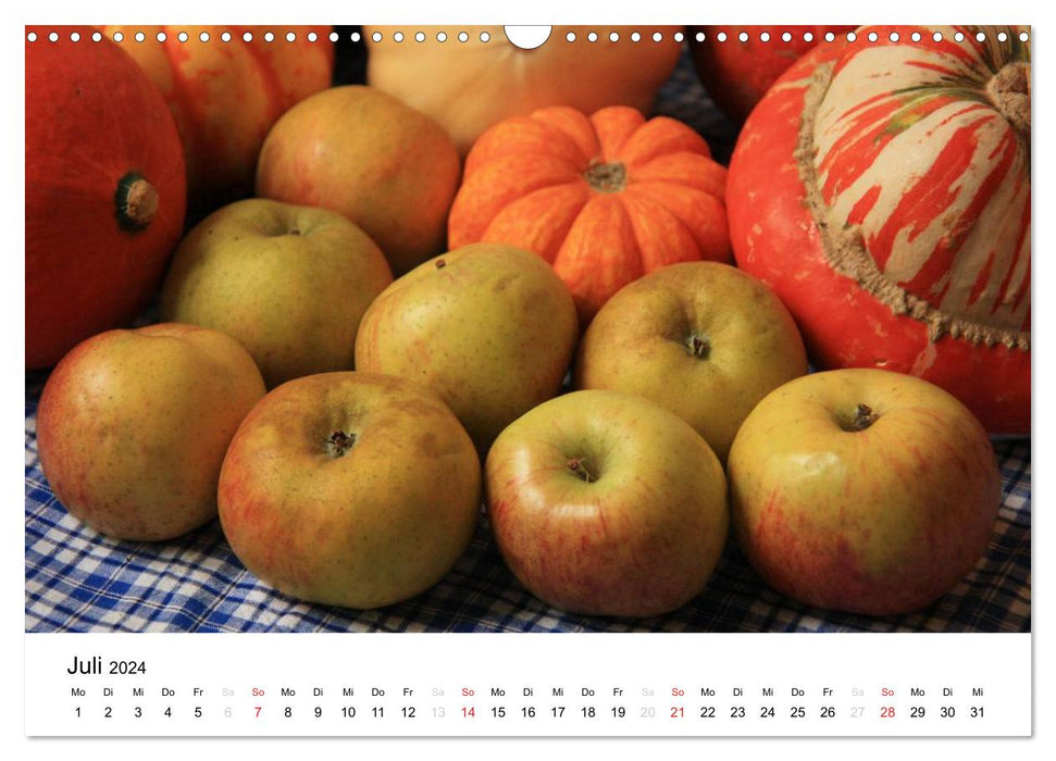 Old apple varieties (CALVENDO wall calendar 2024) 